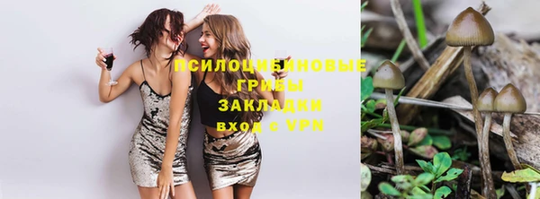 СК Сясьстрой