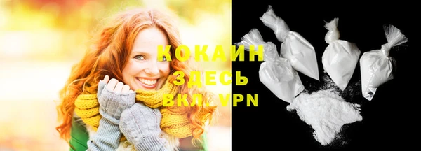 ГАЛЛЮЦИНОГЕННЫЕ ГРИБЫ Тайга