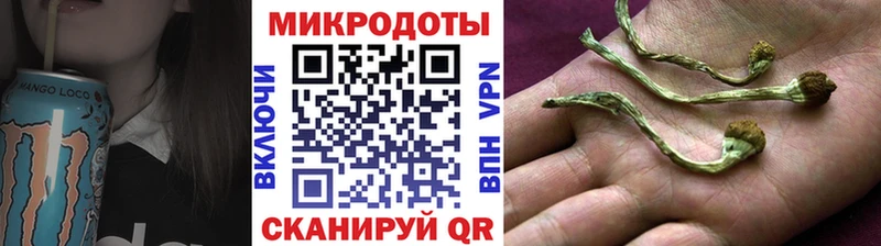 Купить закладки  Чаплыгин  Псилоцибиновые грибы Magic Shrooms 